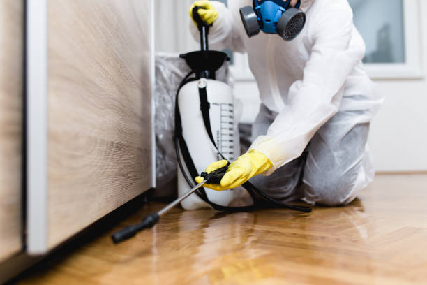 Best Pest Control Near Me  in Mcdade, TX