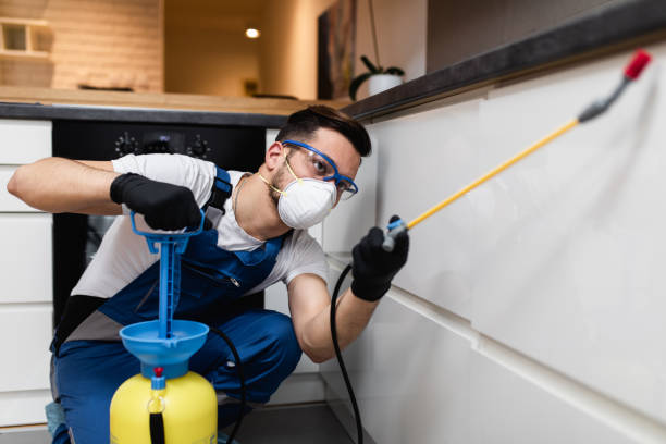 Best Termite Control Services  in Mcdade, TX