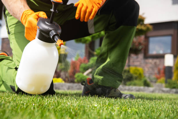 Best Wasp Removal Services  in Mcdade, TX