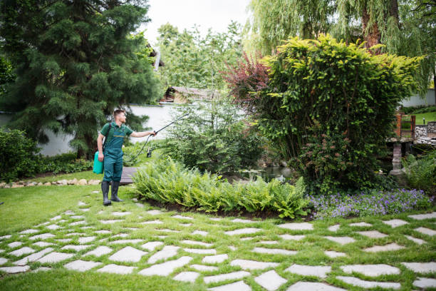 Best Wildlife Control Services  in Mcdade, TX