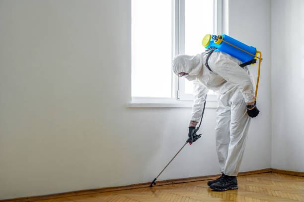 Best Mosquito Control Services  in Mcdade, TX