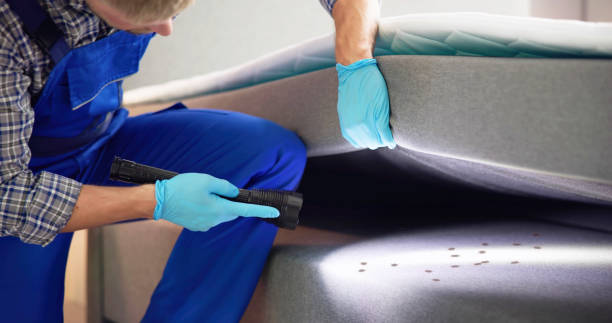 Pest Control Cost in Mcdade, TX