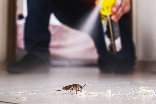 Best Pest Removal Services  in Mcdade, TX