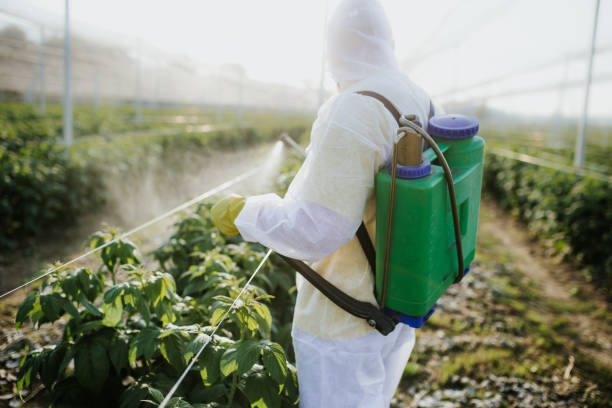Best Pest Control Cost  in Mcdade, TX